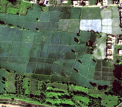 Agriculture and farming, Satellite images, Satellite imagery