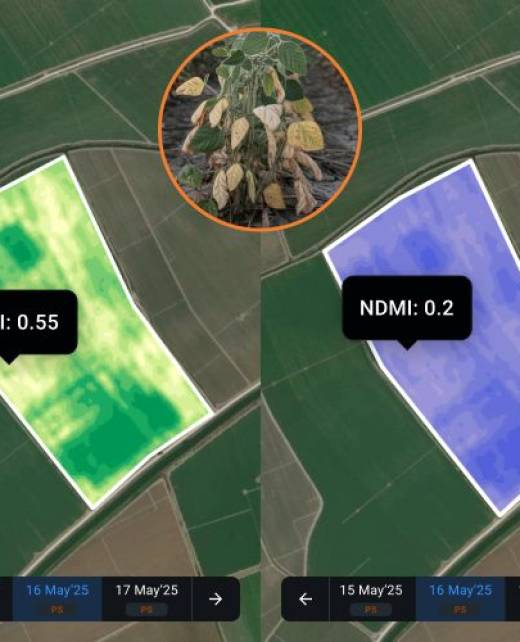Satellite Imagery for Agriculture